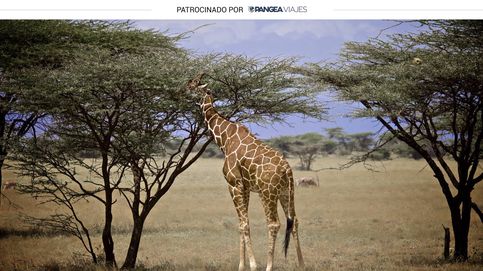 Viaje a Kenia: fotografía de naturaleza como 'excusa' para conocer los orígenes