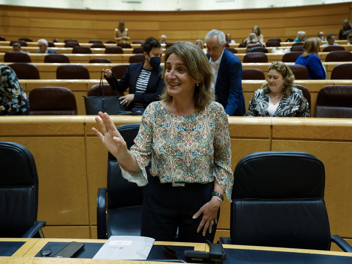 Foto: La ministra de Transición Ecológica, Teresa Ribera. (EFE/Javier Lizón)