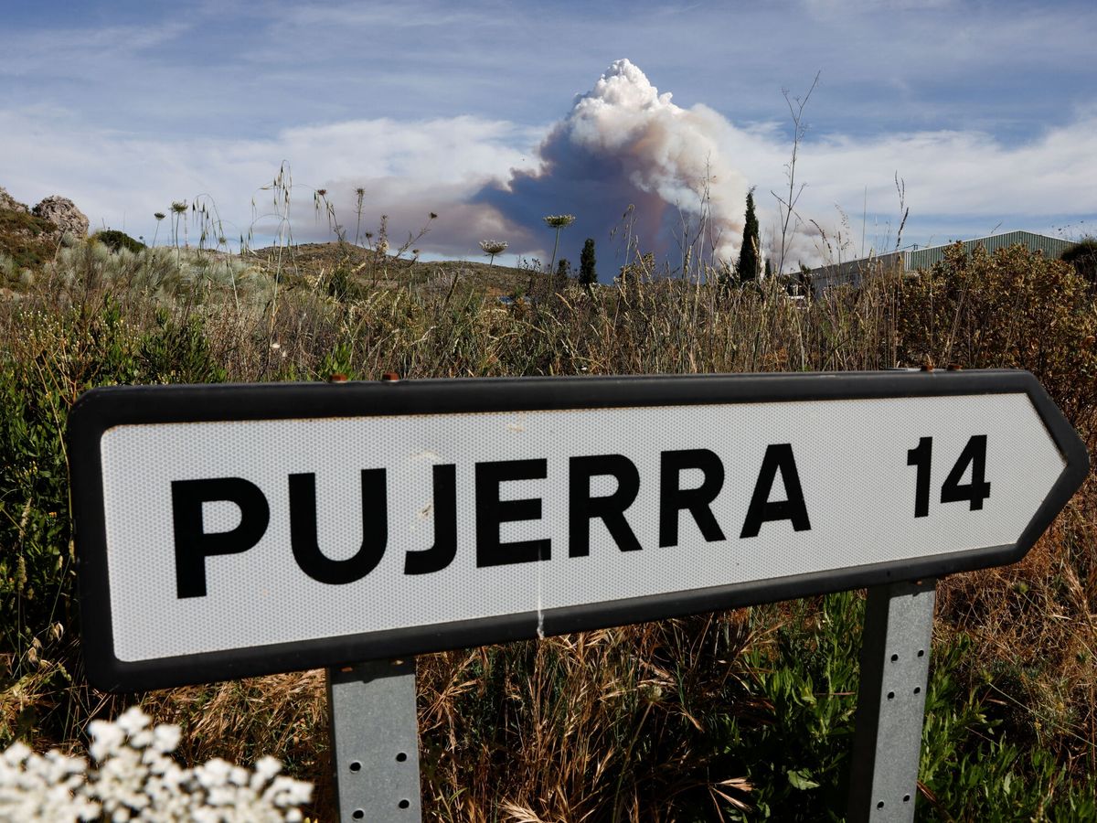 Foto: El incendio se declaró en una zona densa de castaños. (Reuters)