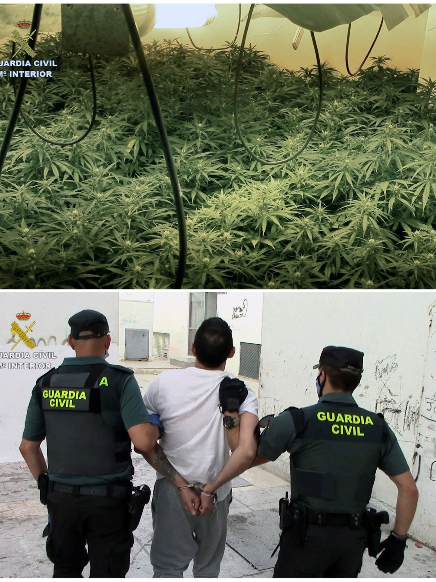 La Guardia Civil desmantela una importante red de venta de drogas en Murcia. (EFE)