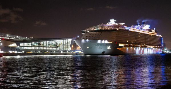 Foto: Un crucero llega al puerto de Miami. (EFE)