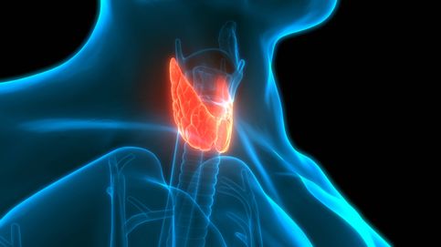 Síntomas y tratamiento del cáncer de tiroides, uno de los más comunes (y de los más olvidados)