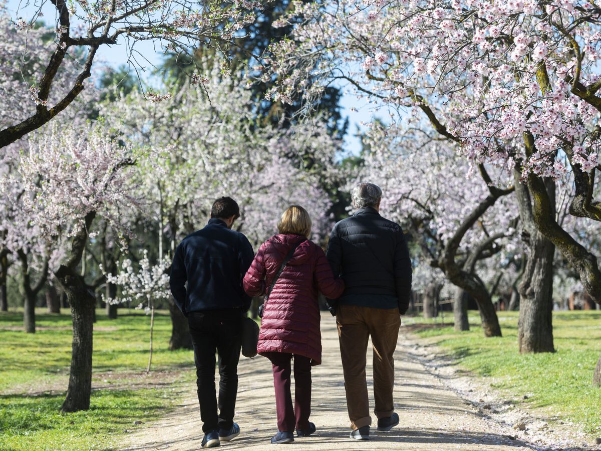 Foto: Tres personas pasean bajo los almendros en flor en el Parque de la Quinta de los Molinos. (EFE/Fernando Villar)