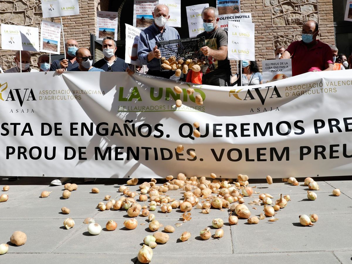 Foto: Asociaciones de agricultores protestan en las calles de Valencia. (EFE)