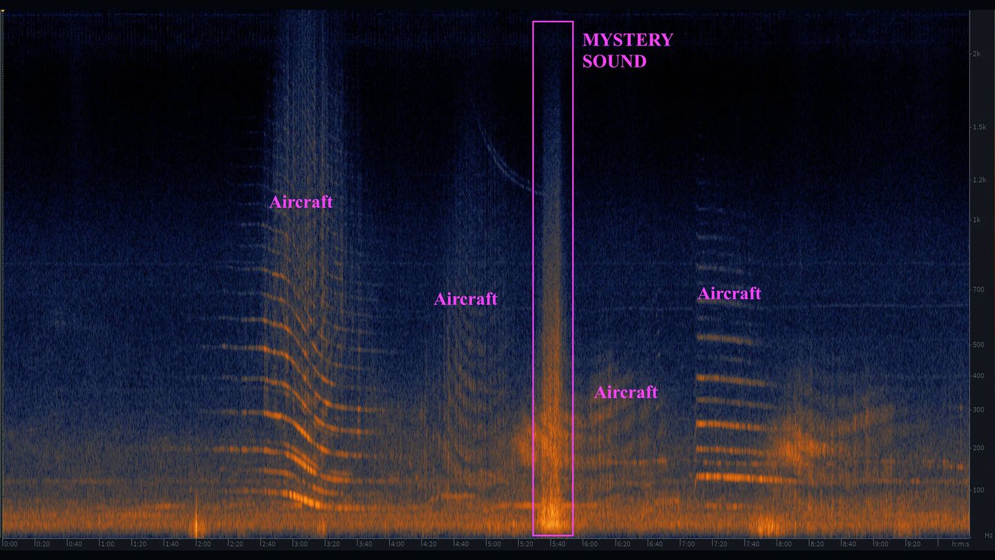 El gráfico que muestra el sonido detectado. (Avi Loeb/Proyecto Galileo)