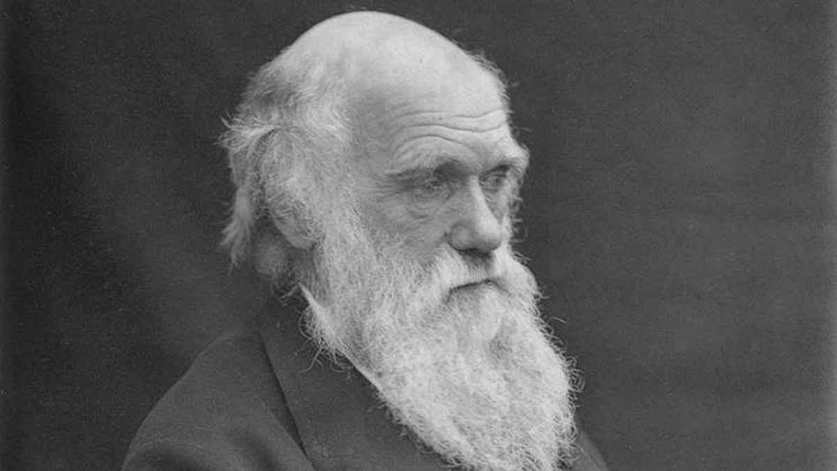 El "abominable misterio" de Darwin: dos siglos después, continúa sin solución