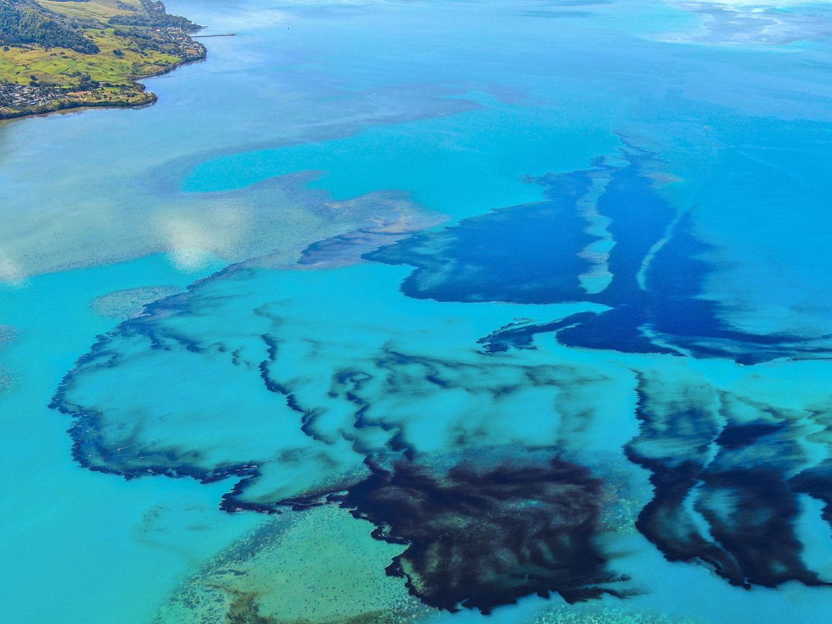 Foto:  Derrame de petróleo en Mauricio después de que un buque golpeara los arrecifes de coral. (Reuters)