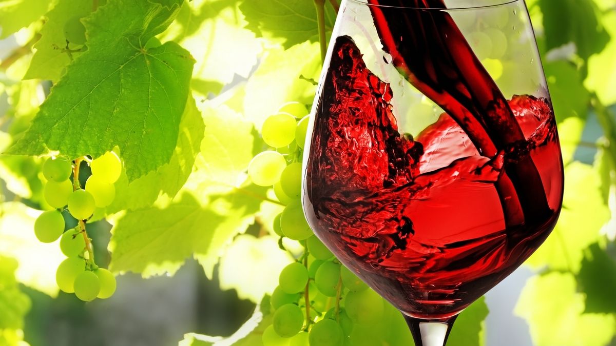 Los catorce (más uno) vinos de 2014: de Rioja a Almansa pasando por Toro y más