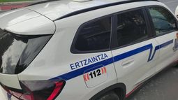 Dos detenidos y dos investigados en Gernika, miembros de un grupo criminal dedicado al robo de cableado