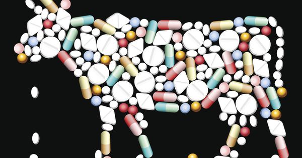 Foto: ¿Realmente toman demasiados antibióticos?
