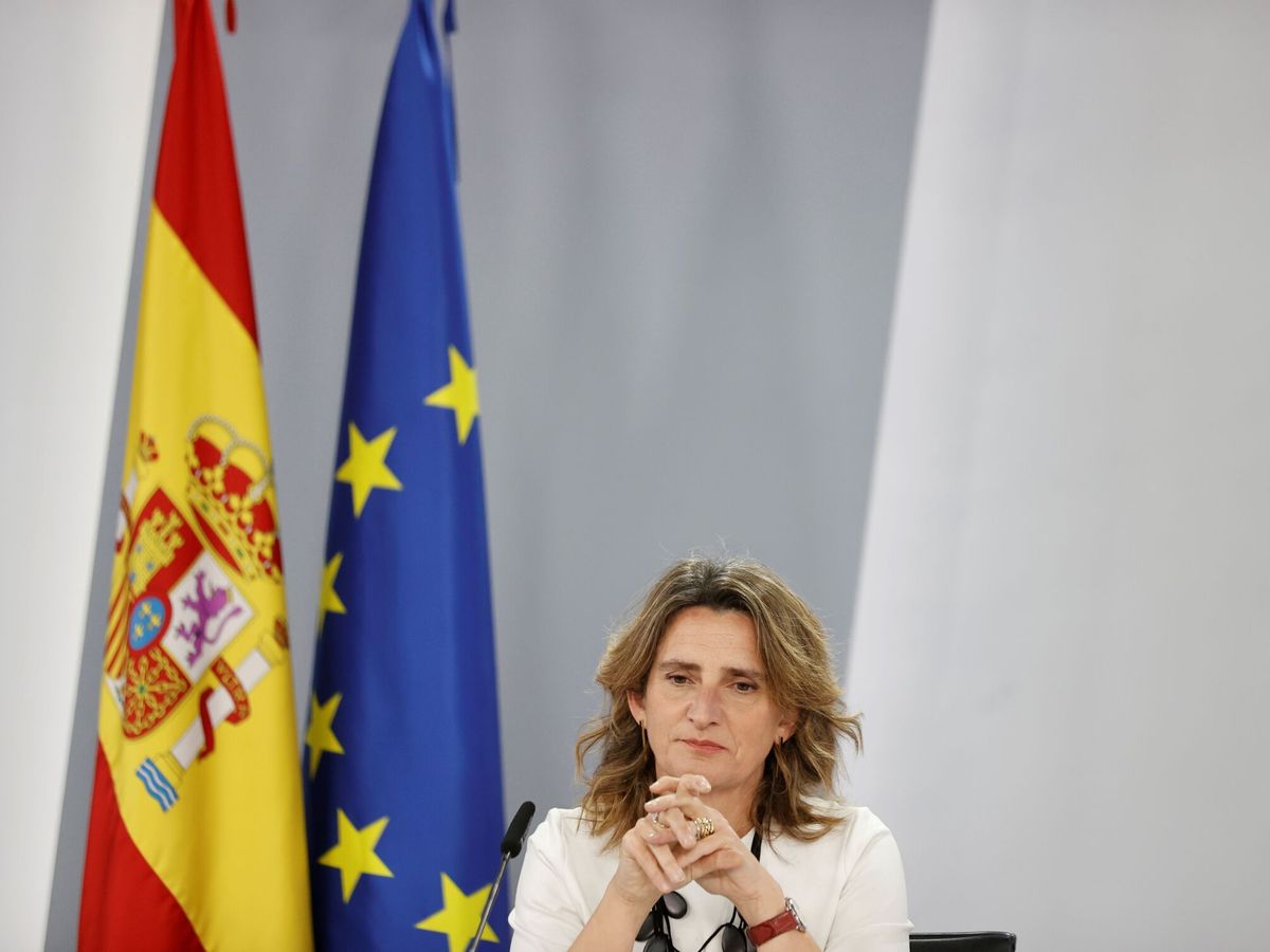 Foto: La vicepresidenta tercera del Gobierno, Teresa Ribera. (EFE/Emilio Naranjo)