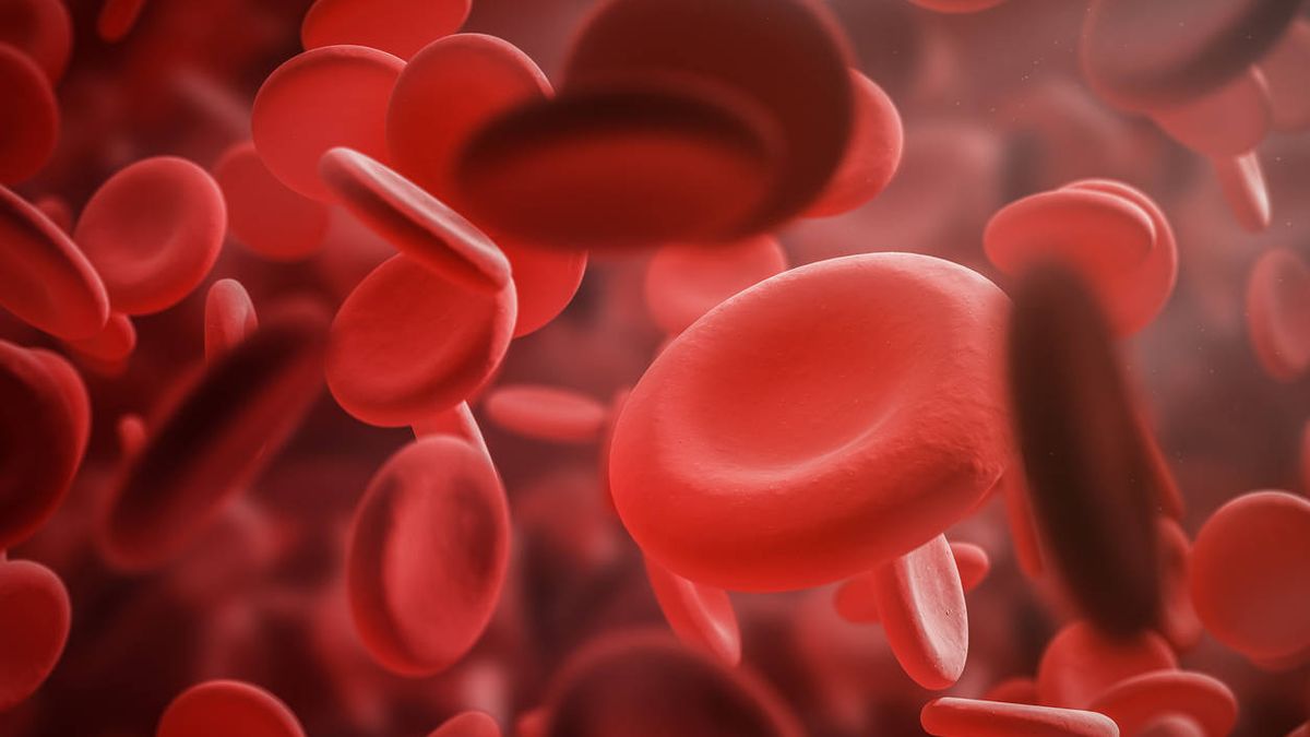 Las causas, los tratamientos y los síntomas más comunes de la anemia