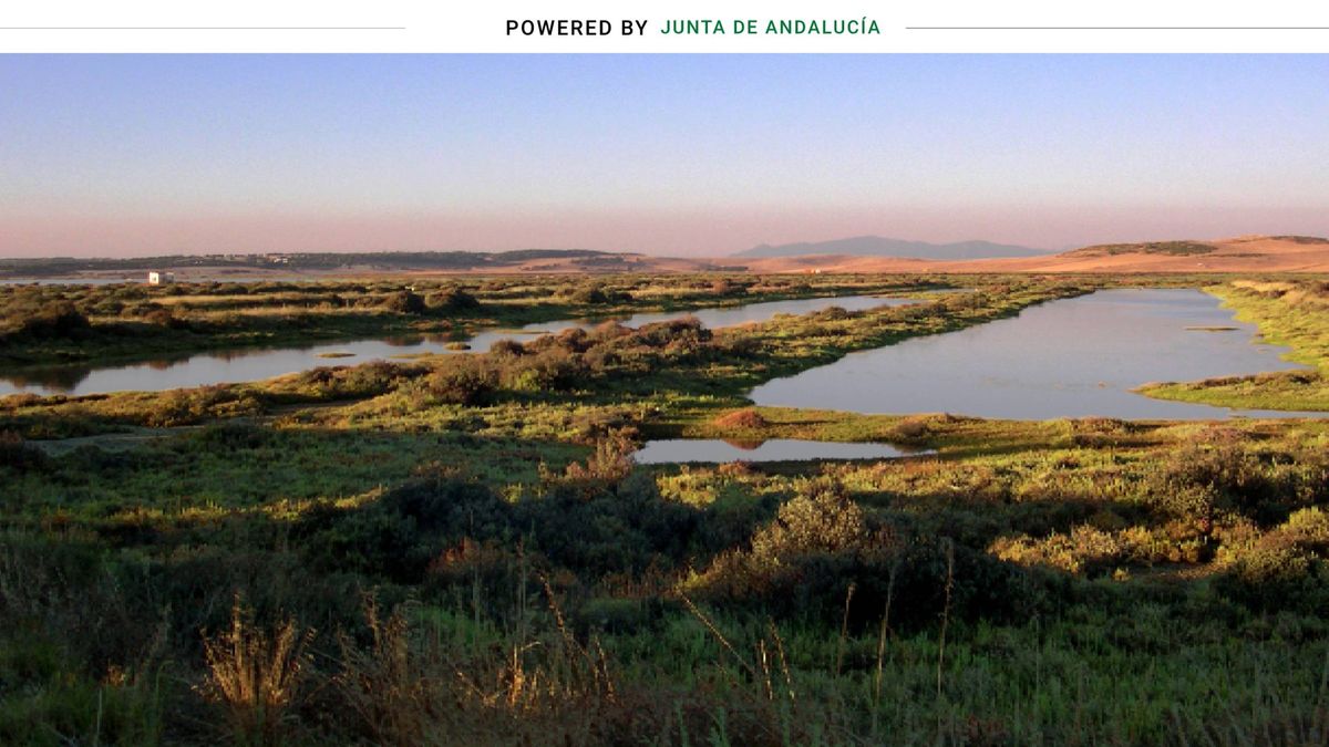 Andalucía confía en la 'revolución verde' para generar 20.000 empleos 