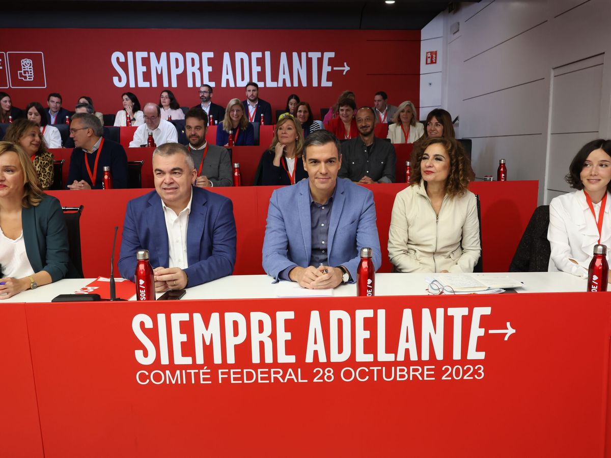 Foto: Foto de archivo del Comité Federal del PSOE. (EFE/Kiko Huesca)