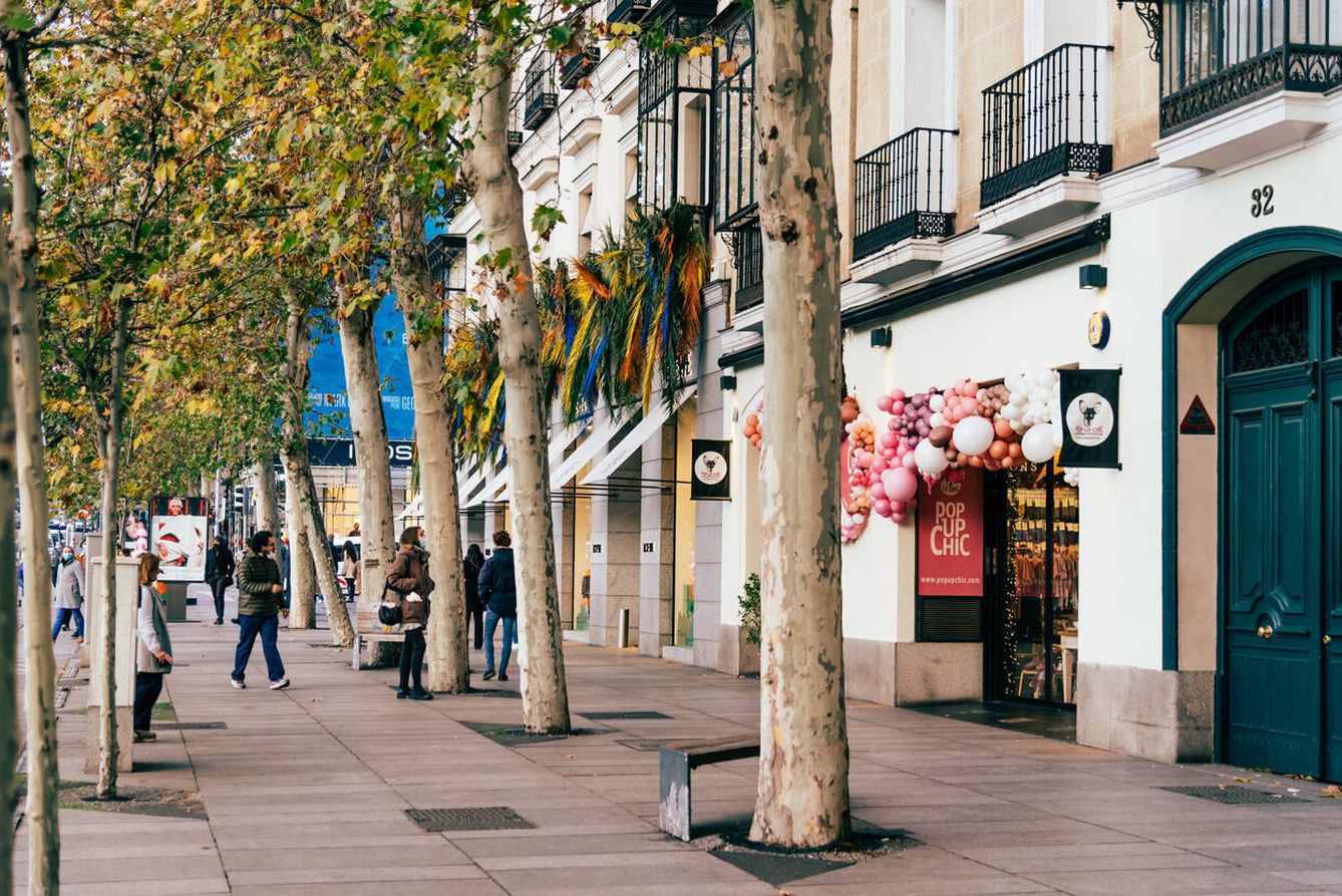 Calle Serrano de Madrid, (Foto: iStock)