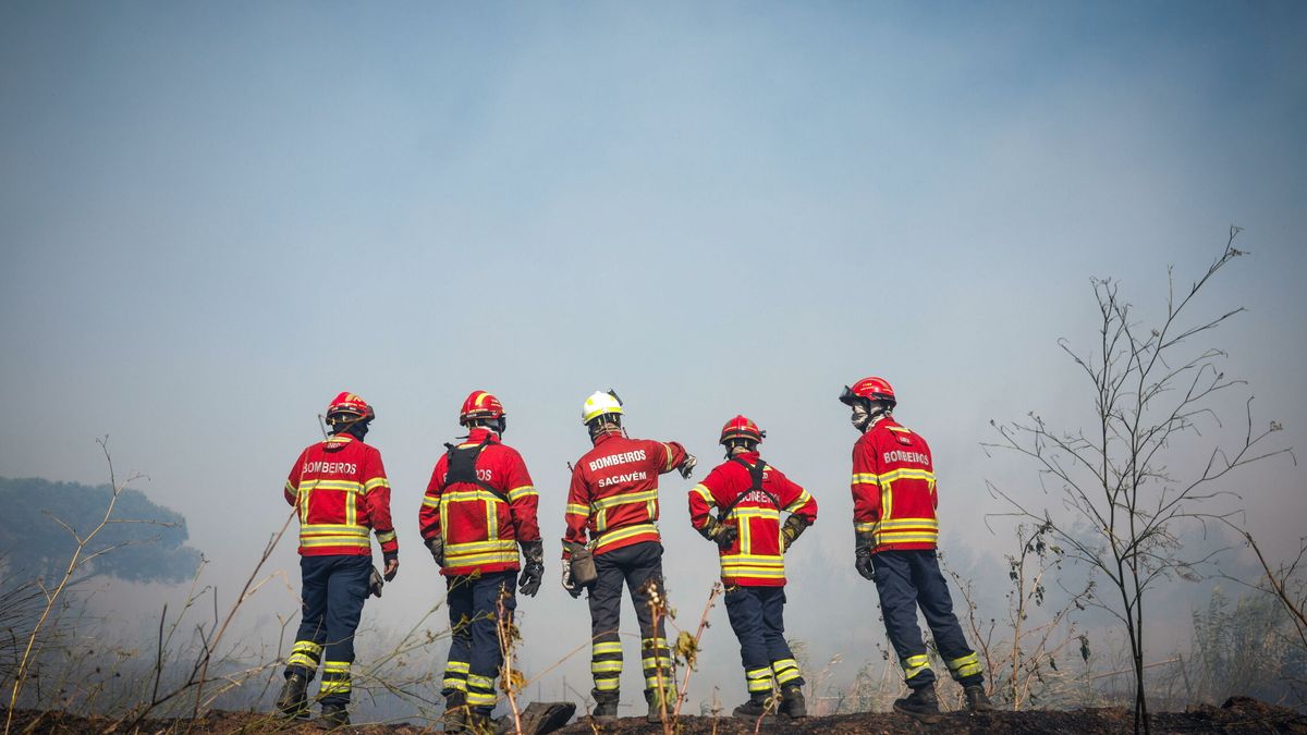 Alerta por altas temperaturas: peligro máximo de incendio en las zonas de Portugal fronterizas con España