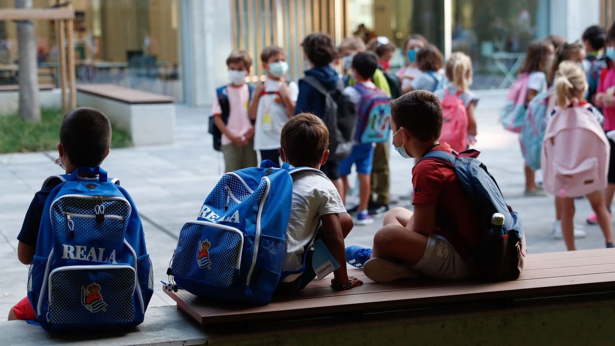 El proyecto de ley de Educación vasca omite el modelo que permitía a los padres matricular en castellano