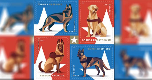 Foto: Los cuatro sellos que formarán la serie de homenaje a los perros militares (Foto: USPS)
