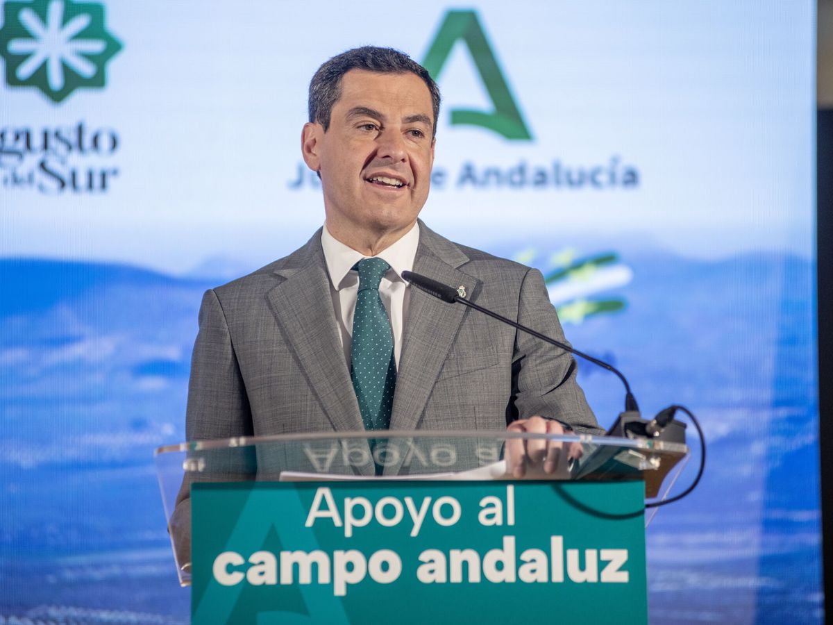 Foto: El presidente de la Junta de Andalucía, Juanma Moreno, durante la visita a la feria internacional del aceite en Jaén. (EFE/José Manuel Pedrosa)