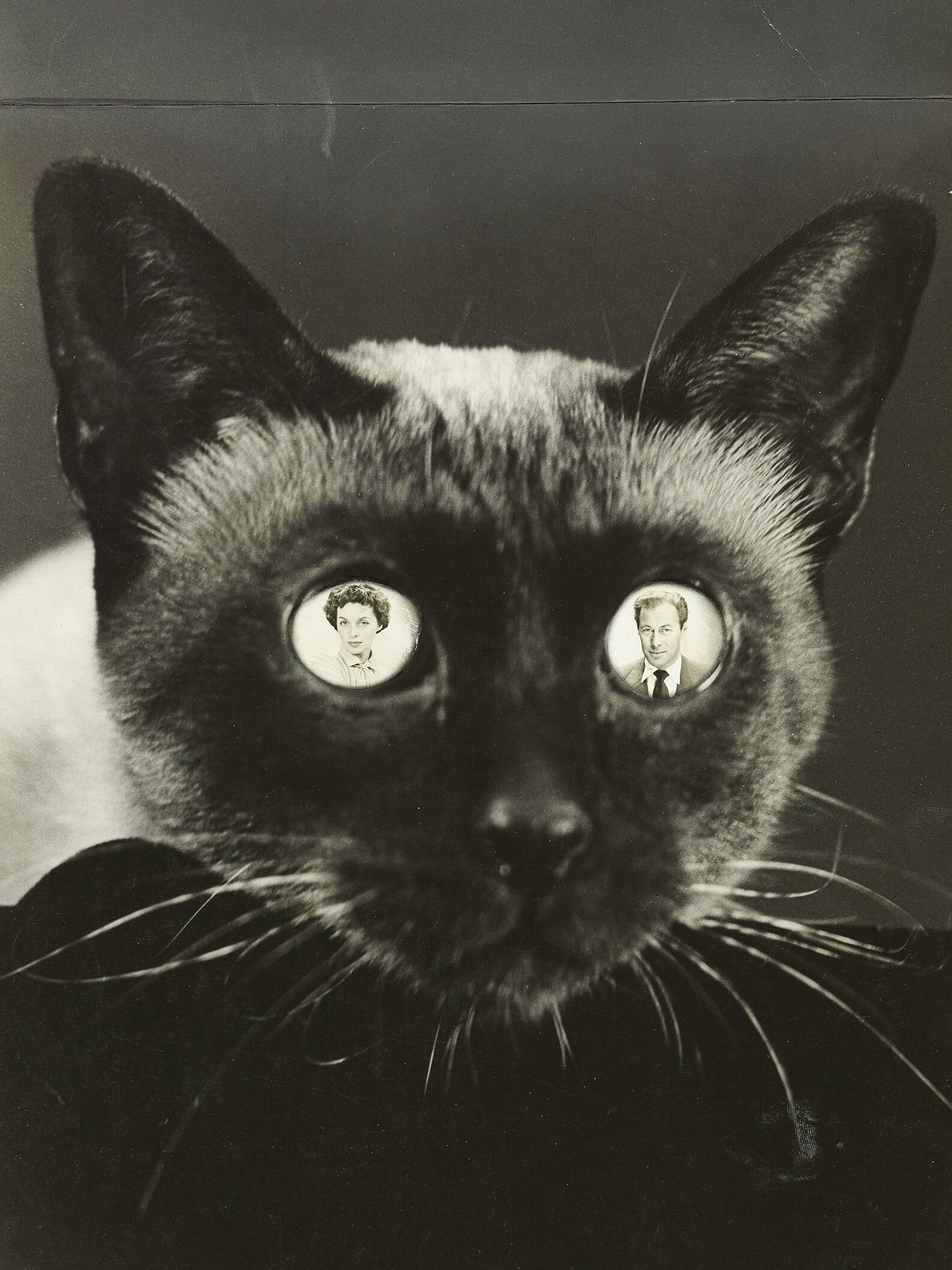 Fotografía de 1950 de Erwin Blumenfeld de Rex Harrison y Lilli Palmer en los ojos de  un gato siamés. Vogue © Condé Nast