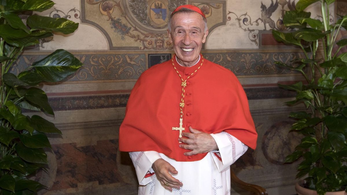 Un cardenal español ayudó en 2015 a evitar el "escándalo" por los abusos de un cura francés