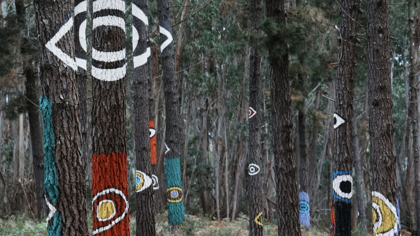 Dibujos pintados en árboles en el 'Bosque de Oma'. (Europa Press)