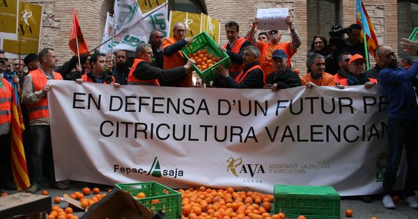 Foto: Protesta de agricultores frente a la Conselleria de Agricultura. (AVA)
