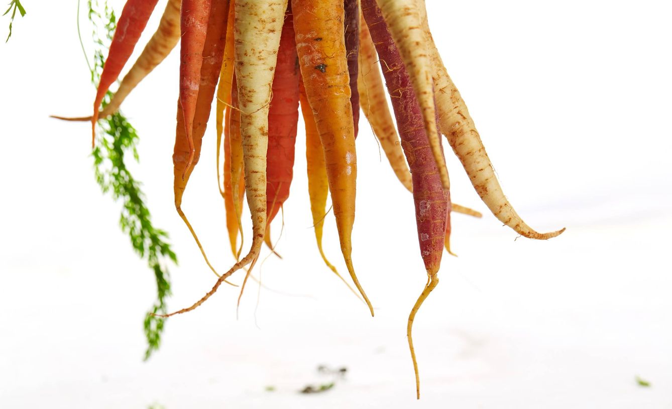 Las zanahorias tienen un alto contenido en betacaroteno.