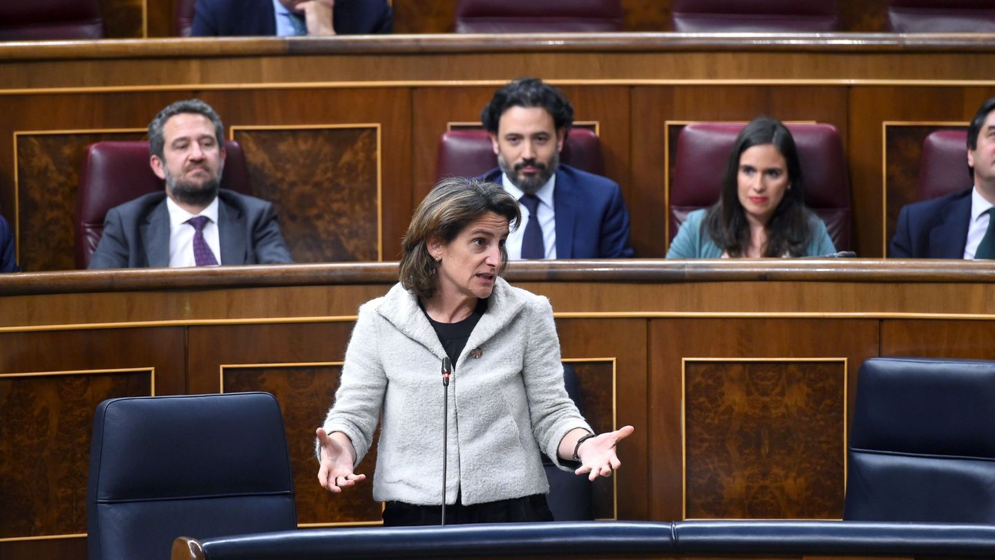 Teresa Ribera, ministra de Transición Ecológica, interviene en la sesión de control al Gobierno en el Congreso. (EFE)