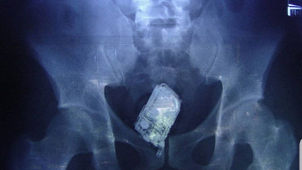 Los 'chicos del cable' entre rejas: una radiografía y cinco móviles en el organismo