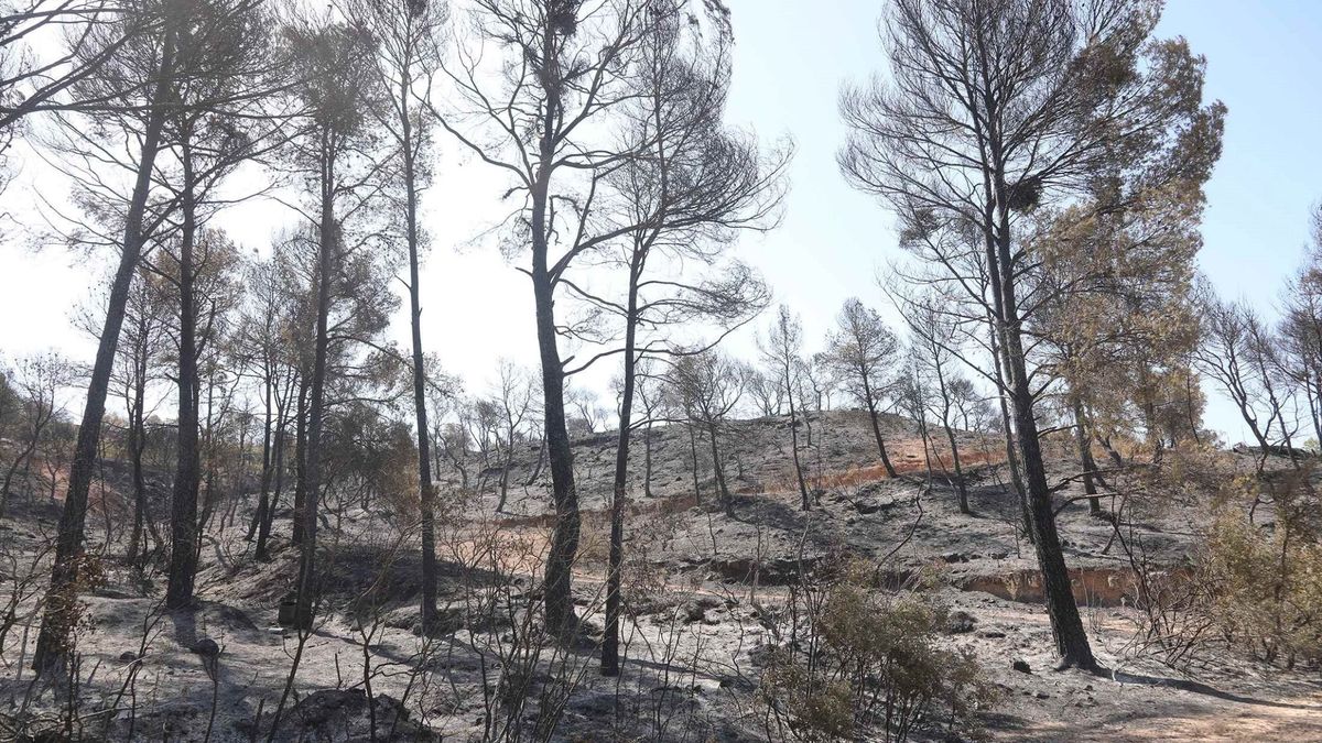 Los bomberos siguen trabajando para extinguir el incendio de Tarragona 