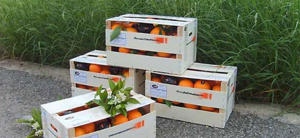 Foto: Un paso valiente: de funcionario a empresario de naranjas