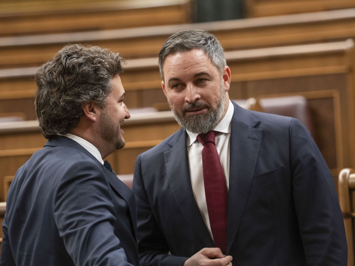 Foto: El líder de Vox, Santiago Abascal (d), conversa con el diputado de la formación Ángel López Maraver en el Congreso. (EFE/Fernando Villar) 