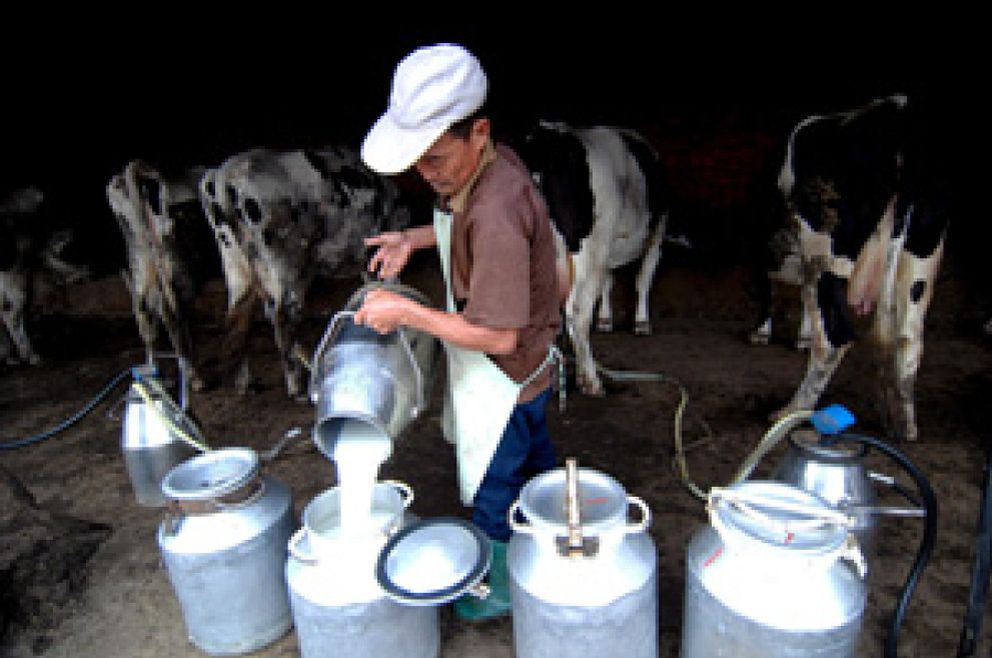 Foto: Bruselas prohibirá importar de China alimentos para niños que contengan leche