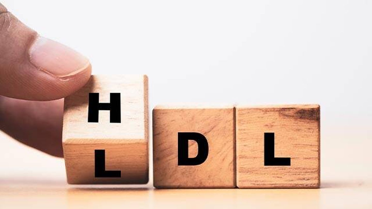 El colesterol HDL y el LDL: el bueno y el malo. (iStock)