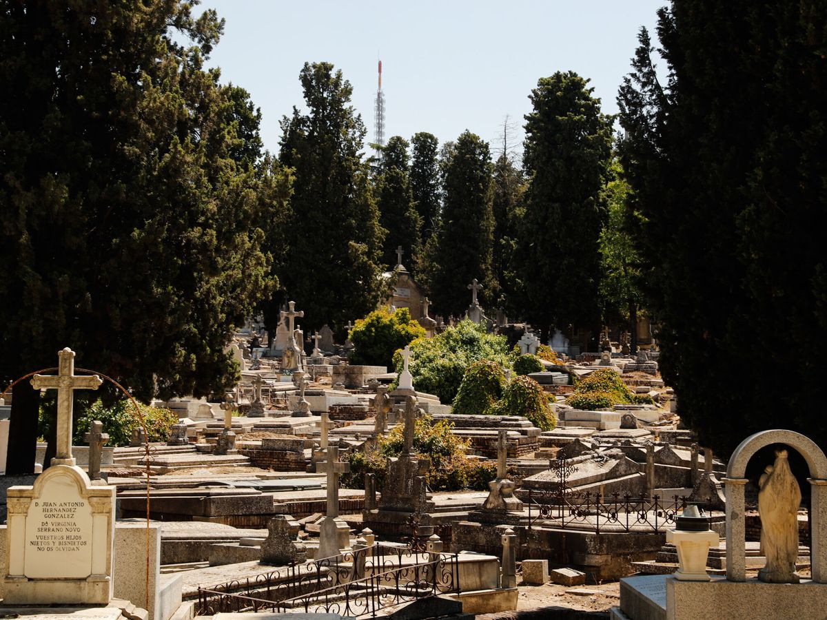 Foto: Tumbas en el cementerio de la Almudena. (EFE/Luis Millán)