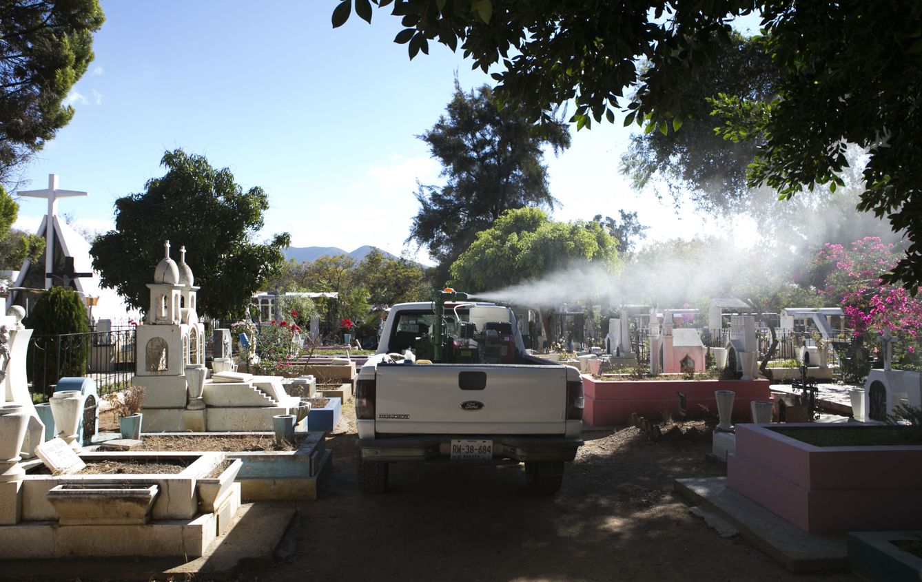 Fumigación de un panteón del cementerio de Oaxaca, (México) para combatir el chikunguña y el zika. (EFE)