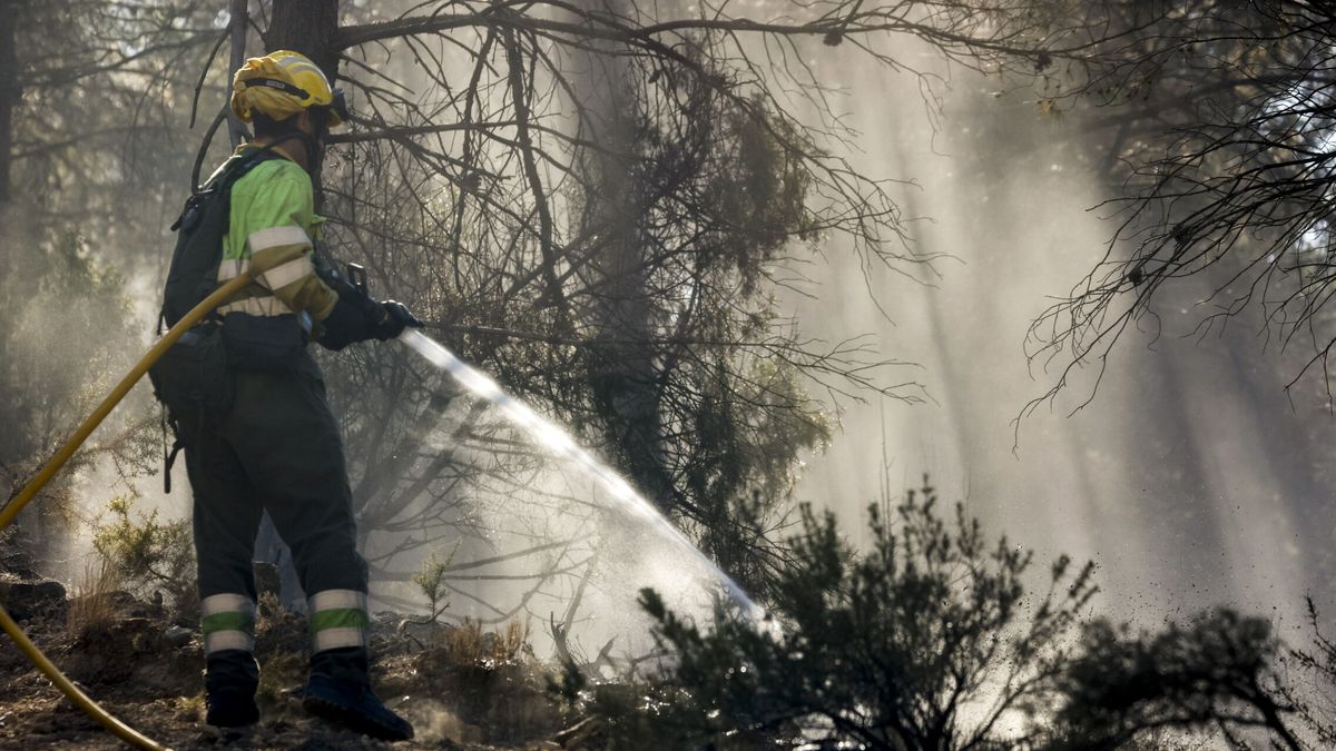 El incendio de Castellón afronta una jornada de alto riesgo por los fuertes vientos