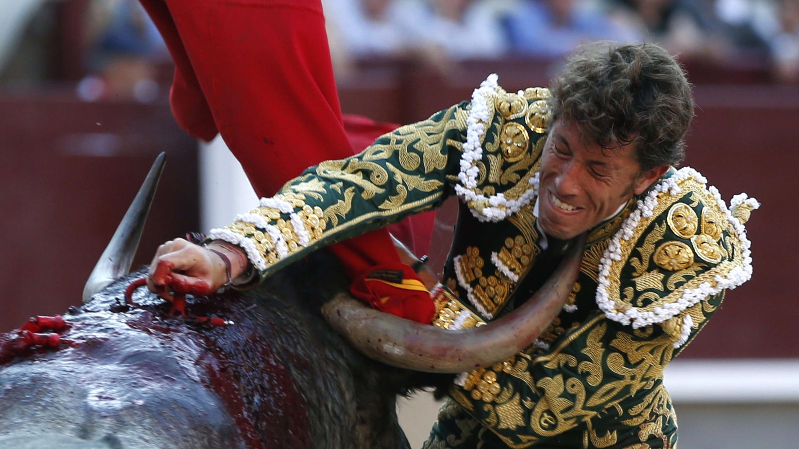 Foto: Manuel Escribano entra a matar a su segundo toro. (EFE)