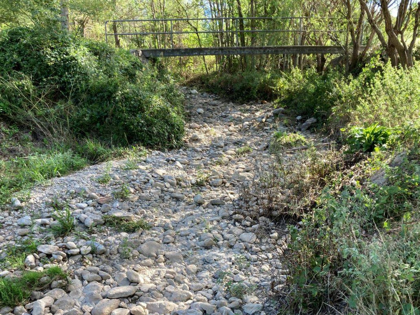 Río seco en el Pirineo catalán. (Jose Luis Gallego)