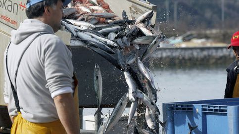 Europa sigue sin apostar por una pesca más sostenible