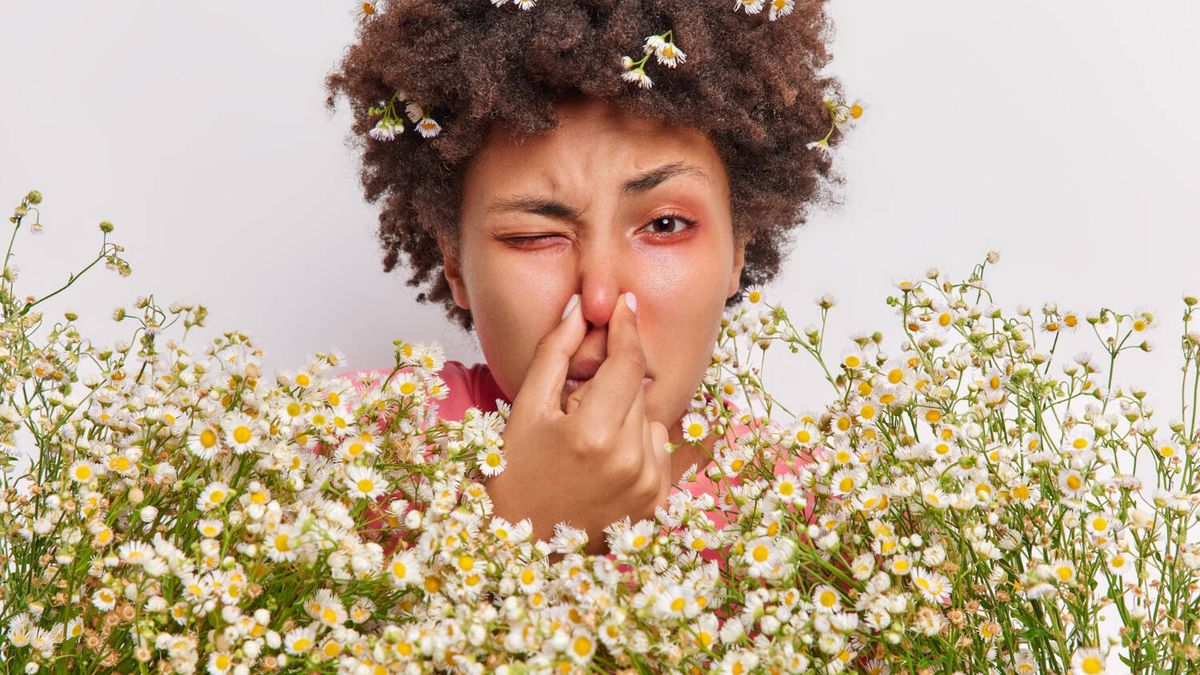 Llegan las alergias primaverales: trucos sencillos para que sean más llevaderas