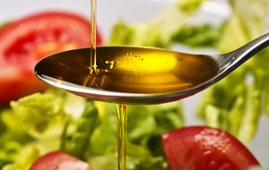 Aceite Abbae de Queiles, el aceite de oliva virgen extra ecológico