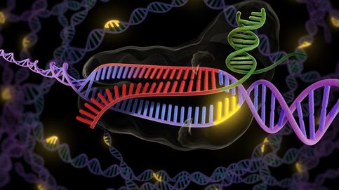 CRISPR, el descubrimiento que va a curar el cáncer y el sida 