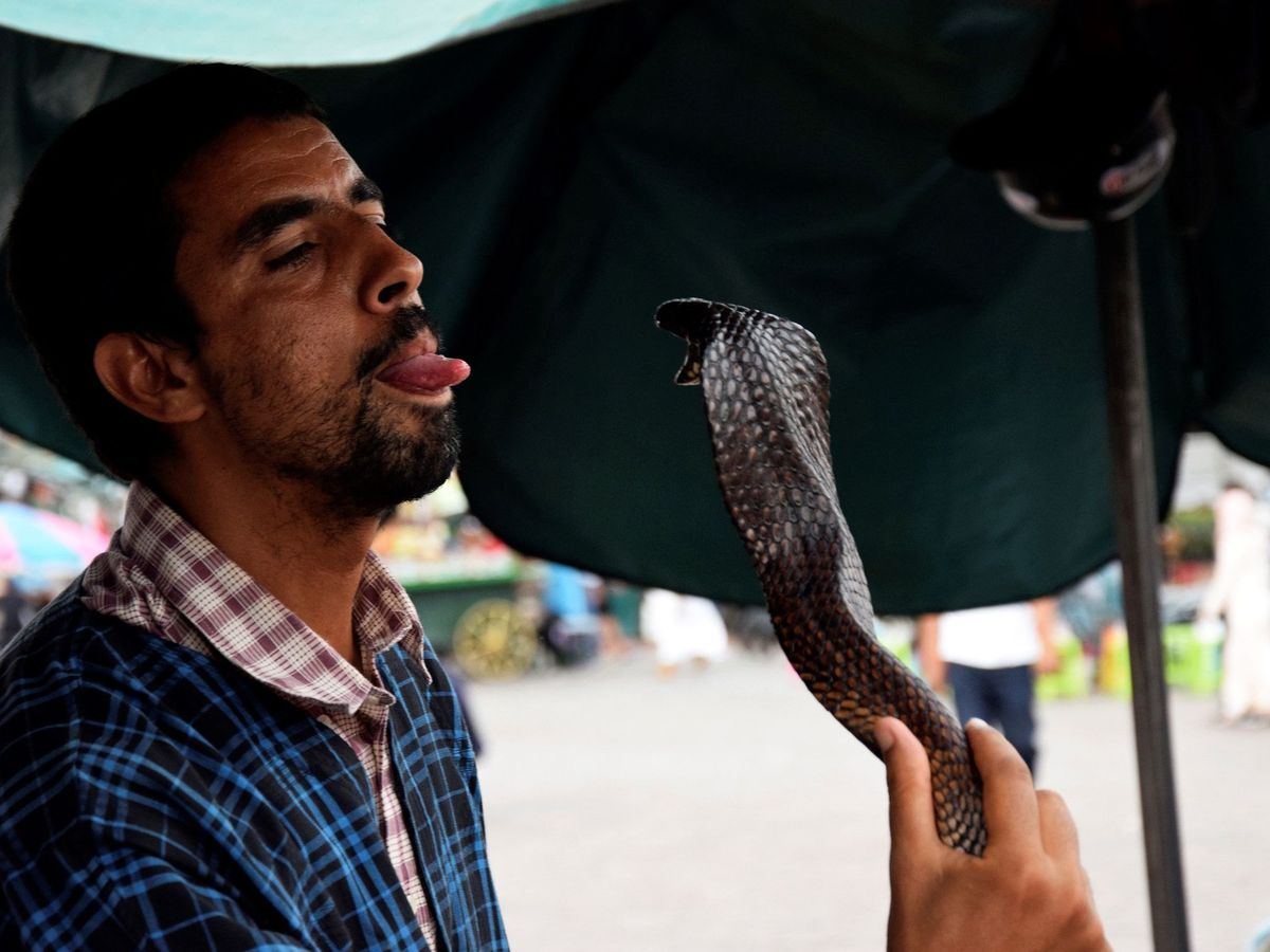 Foto:  Un encantador de serpientes, durante una exhibición en la plaza de Yemaa el Fna (Marrakech)