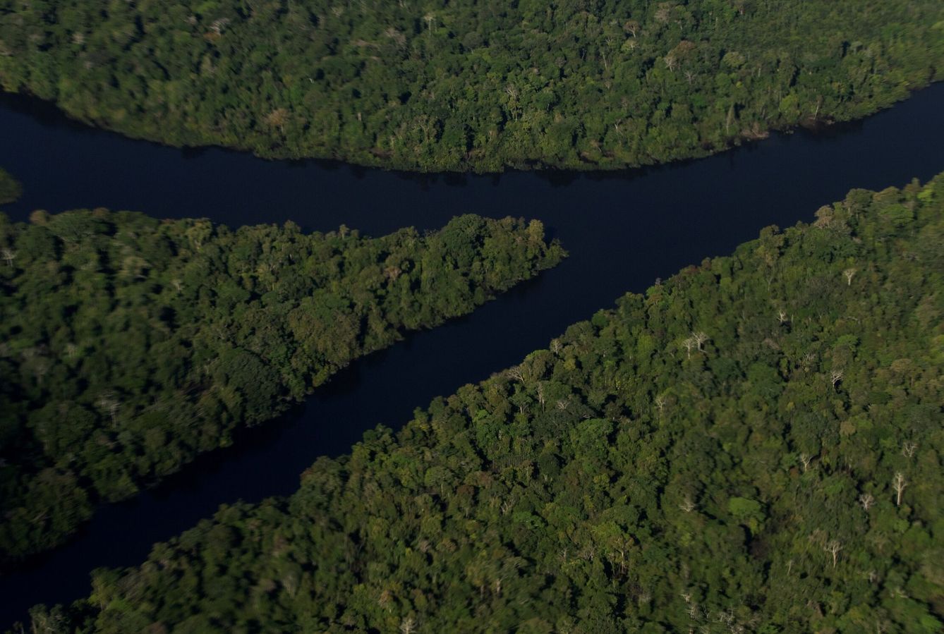 Los recursos naturales de la Amazonia sustentarían una criptomoneda estable  (EFE/J.Alves)