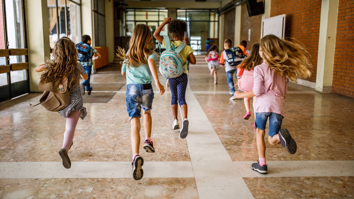 Estos son los 100 mejores colegios públicos de España en 2024, según el 'ranking' de Micole