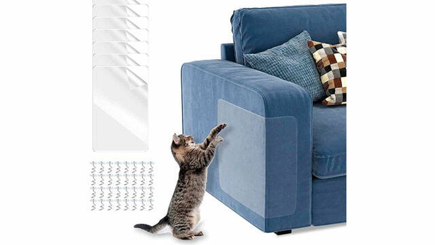 Sembrar Serena Conjugado El protector de sofá para gatos que usa tu veterinario: cómo evitar arañazos
