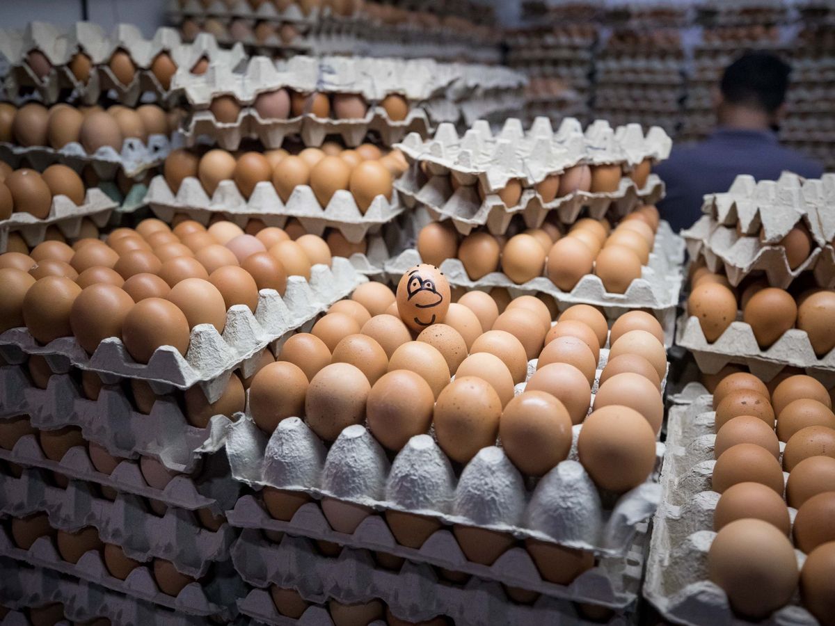 Foto: No pongas todos los huevos en la misma cesta. (EFE/Miguel Gutiérrez)