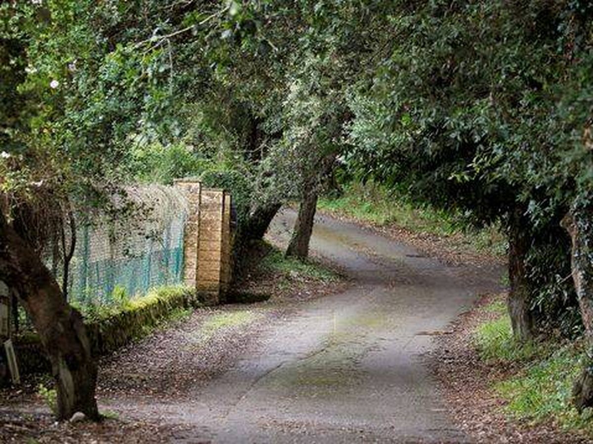 Foto: Ardines se bajó de la furgoneta para quitar una valla en este camino. (EFE)